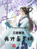 三国曹昂我才是曹贼溜乌龟的阿基米