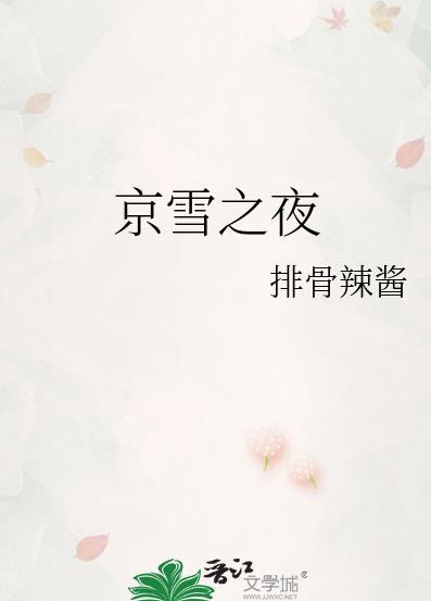 京雪之夜纪荷陆浔之免费观看