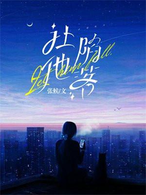 让他降落无防盗