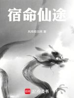 宿命这本书怎么样
