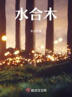 水合木可以组合成什么字
