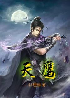 天鹰战士是指哪部动画