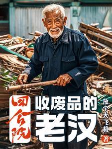 四合院之收藏家