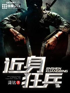 近身狂兵叶军全文免费阅读