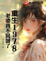 重生1978老婆我不回城了全文免费阅读