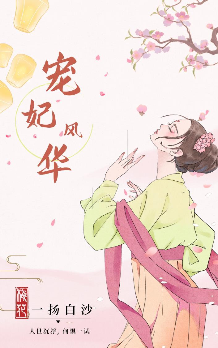 宠妃风华好看吗