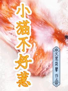 幼猫凶狠不和人接触