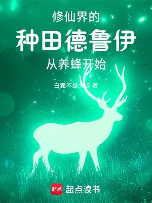 德鲁伊怎么样