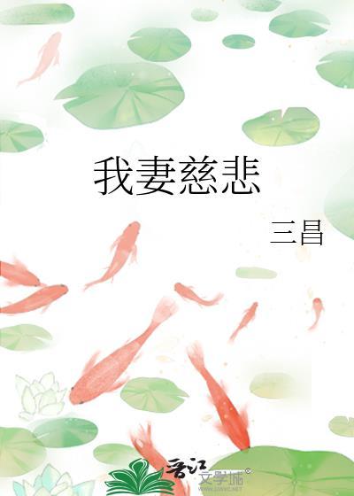 我妻慈悲观南最后结局