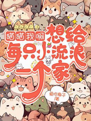 我想给我的小猫咪