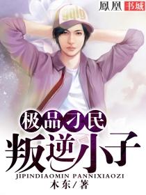 极品小子全文免费