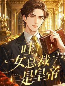 女总裁叫什么名字