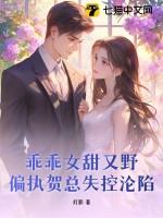 乖乖免费阅读贺酌