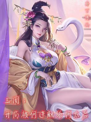 三国开局接盘何皇后