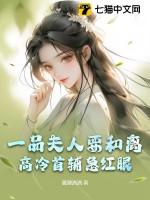 一品夫人免费阅读