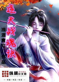 逆天四战魂