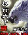 狼行天下定四和值预测