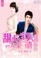 书名甜心宠物by妖唐