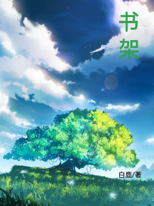 书架图片真实照片