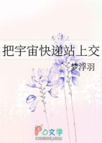 宇宙快递员想表达什么