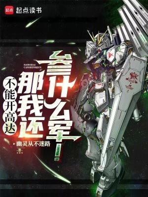 不能开高达那我还参什么军!全集txt免费