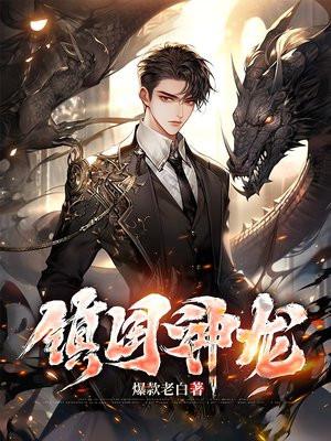 镇国神龙短剧26