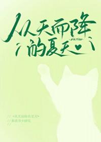 从天而降的夏天百度