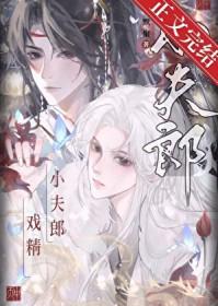 直男的戏精小夫郎演员表