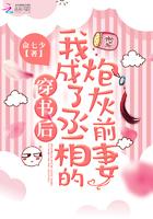 穿书后我成了丞相的炮灰前妻番外