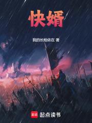 快婿的意思