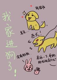 我家来了一条狗是什么意思