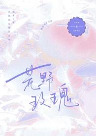 荒野玫瑰沈枳宴寻洲