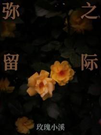 弥留之际爱丽丝百度百科