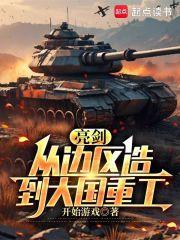 亮剑从边区造到大国重工无防盗