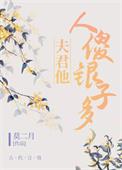 夫君他人傻银子多番外