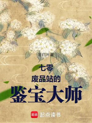 七零废品站的鉴宝大师 不归洲