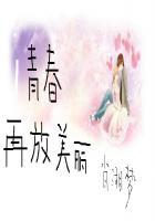 再美的青春 剧情介绍
