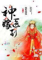 神医嫁到闲听落花免费阅读入口
