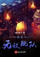 我有无敌舰队免费阅读