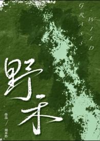 野百合免费阅读全文