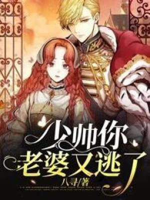 少帅你老婆又逃了短剧