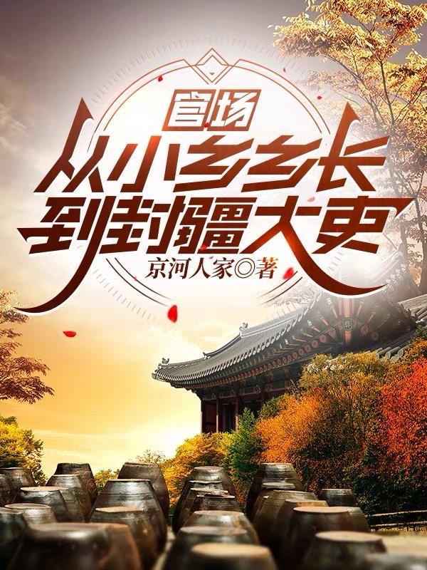 从乡镇开始的长篇官场