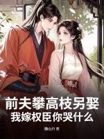 前夫高攀不起作者旖旎萌妃