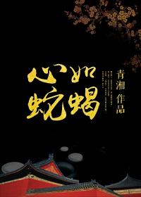 心如蛇蝎的佳人电视剧