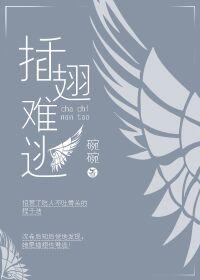 插翅难逃片头曲