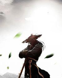 骑士魔法师佣兵的