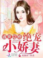盛世隐婚宠入骨长歌