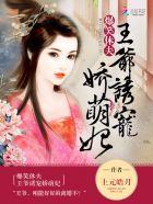 爆笑王妃之王爷快追