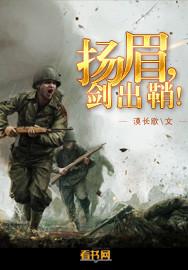 扬眉剑出鞘全诗原文