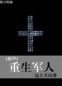机甲重生之匪军攻是谁